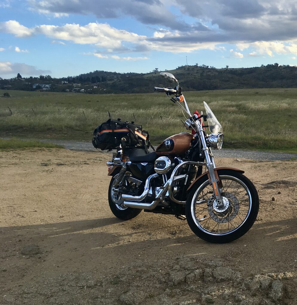 A Harley Davidson 2008 sportster custom 1200cc on a dirt road in the country with long grass in the background and rolling hills and a blue sky.